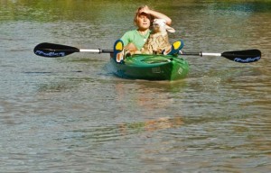 sheep in kayak rescue