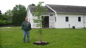 Man standing by freshly planted tree